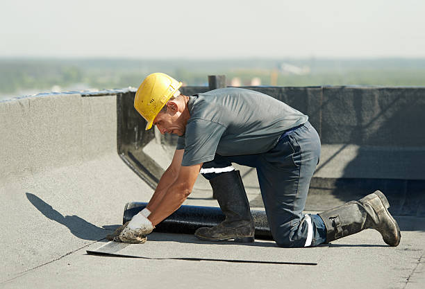 Best Geographic-Specific Insulation Services in Napavine, WA