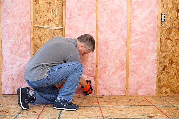 Best Fiberglass Insulation in Napavine, WA