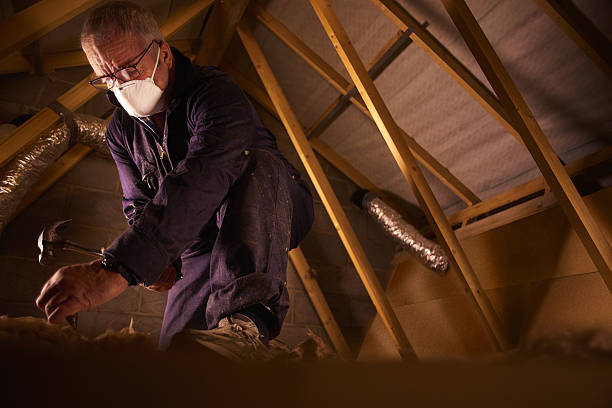 Best Residential Insulation in Napavine, WA